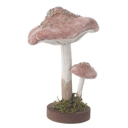 Pink Mushroom