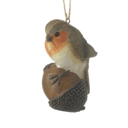 Robin on Acorn