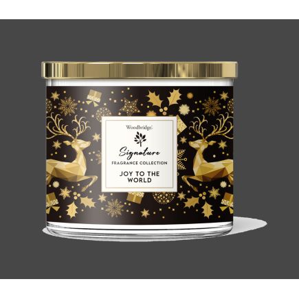 Joy to The World Candle Tumbler with notes of Fresh Florals, Leaves, Balsam & Winter Berries