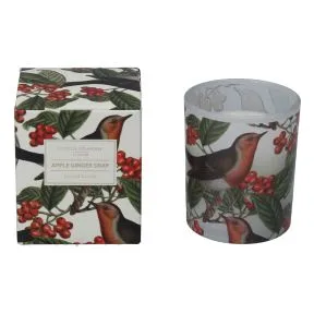 Robin/Berry Boxed Candle Pot Sml