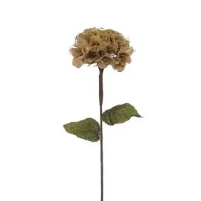 60cm gold hydrangea stem