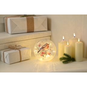 Light Up Glass Ball with Robin Detail