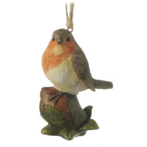 Robin on Hazelnut