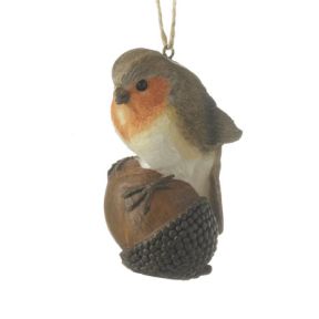 Robin on Acorn