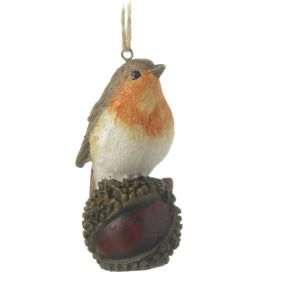 Robin on Horse Chestnut