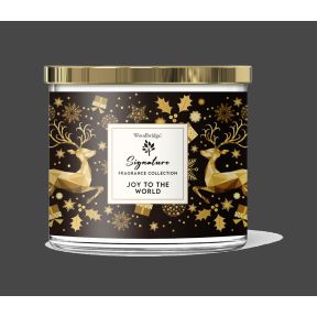 Joy to The World Candle Tumbler with notes of Fresh Florals, Leaves, Balsam & Winter Berries