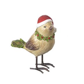 Bird in Santa Hat