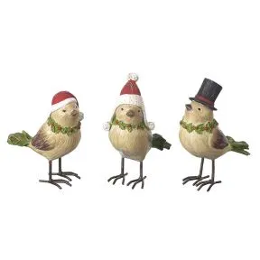 Bird In Top Hat
